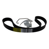 Correia Alternador Poly V