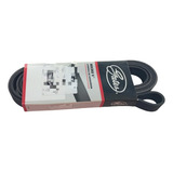 Correia Alternador Poly V
