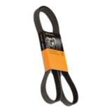 Correia Alternador Poly V