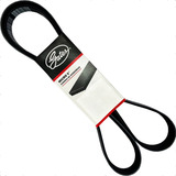Correia Do Alternador Golf