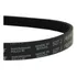 Correia Motor Esteira Athletic Caloi Act Home 527j 6 Frisos