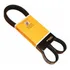 Correia Multi V Para Eurocargo 170e21 05     8pk1440