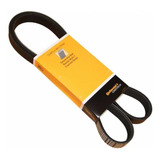 Correia Multi V Para