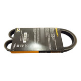Correia Poly V 4pk