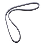 Correia Poly V 5527449