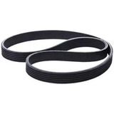 Correia Poly v 6pk