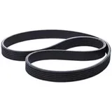 Correia Poly v 6pk