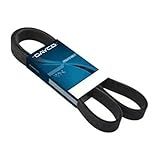 Correia Poly V 6PK1205