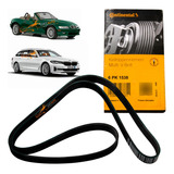 Correia Poly v Alternador