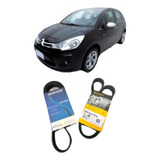 Correia Poly V Citroen