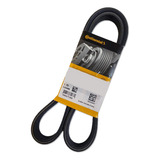 Correia Poly V Comp