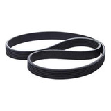 Correia Poly v Dayco