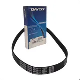 Correia Poly V Dayco