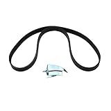 CORREIA POLY V ELASTICA