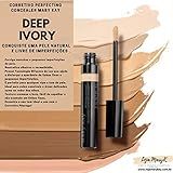 Corretivo Perfecting Concealer Mary Kay 6g Deep Ivory