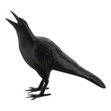 Corvo Realista Pássaro Para Decoração Halloween