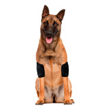 Cotoveleira Cachorro Calo Apoio Higroma Duas Patas Tam P P P