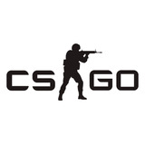 Counter Strike Cs go