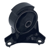 Coxim Frontal Do Motor