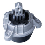 Coxim Motor Esquerdo Bmw