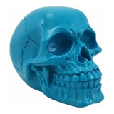 Cranio Caveira Azul Turquesa
