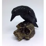 Cranio Caveira Com Corvo