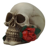 Cranio Caveira Com Rosa