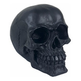 Cranio Caveira Esqueleto Black