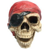 Cranio Caveira Pirata Decorativo