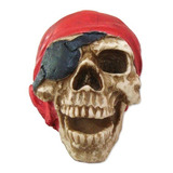 Cranio Caveira Pirata Estatueta