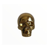 Cranio Cofre Dourado Ceramica
