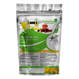 Creatina Pura Importada 600g