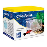 Criadeira Mini Para Peixes