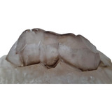 Cristal Fume Catedral Bi