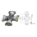 Cruzeta Cardan Constellation 31