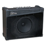 Cubo Amplificador Staner Shout
