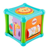 Cubo De Atividade Fisher Price Animais Divertidos - Mattel