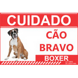 Cuidado Cao Bravo Boxer