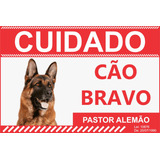 Cuidado Cao Bravo Pastor