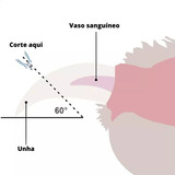 Cuidado Rosa  Kit De Corte De Unhas Para Caes E Gatos