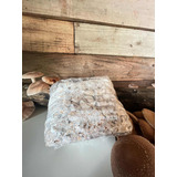 Cultive Cogumelos Tarugos 12x20mm
