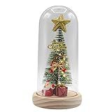 Cupula Encantada Iluminada Natal