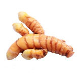 Curcuma Organica Kit 10