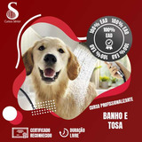 Curso De Banho E