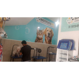 Curso De Banho E Tosa