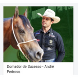 Curso De Doma