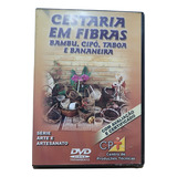 D26 Centro De Producoes
