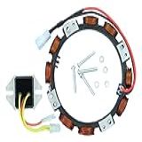 DABAZUALY Alternador De Estator 592831 Com Regulador 845907 Adequado Para Bs 394890 393374 691185 797375 797182 E 696459 691063 393800 391735 393474 390185 390671 390693 Trator Cortador De Grama 39152