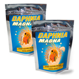 Dafnia Magna Daphnia Magna
