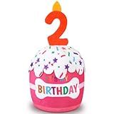 Dansydaisy Brinquedo De Bolo De 2º Aniversário Para Cães Rosa Acessórios De Aniversário Para Meninas E Meninos, Brinquedo De Aniversário De Cachorro De Pelúcia Estridente Para Decoração De Festa De